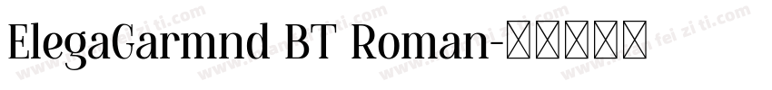 ElegaGarmnd BT Roman字体转换